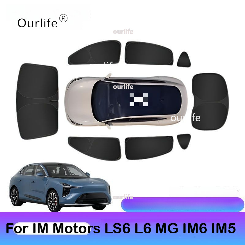 Curtain Motor - Per IM Motors LS6 MG IM6