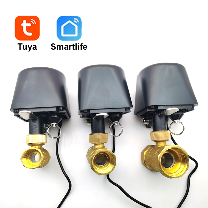 Smart Home Green - Tuya WiFi o Zigbee Valvola dell'acqua