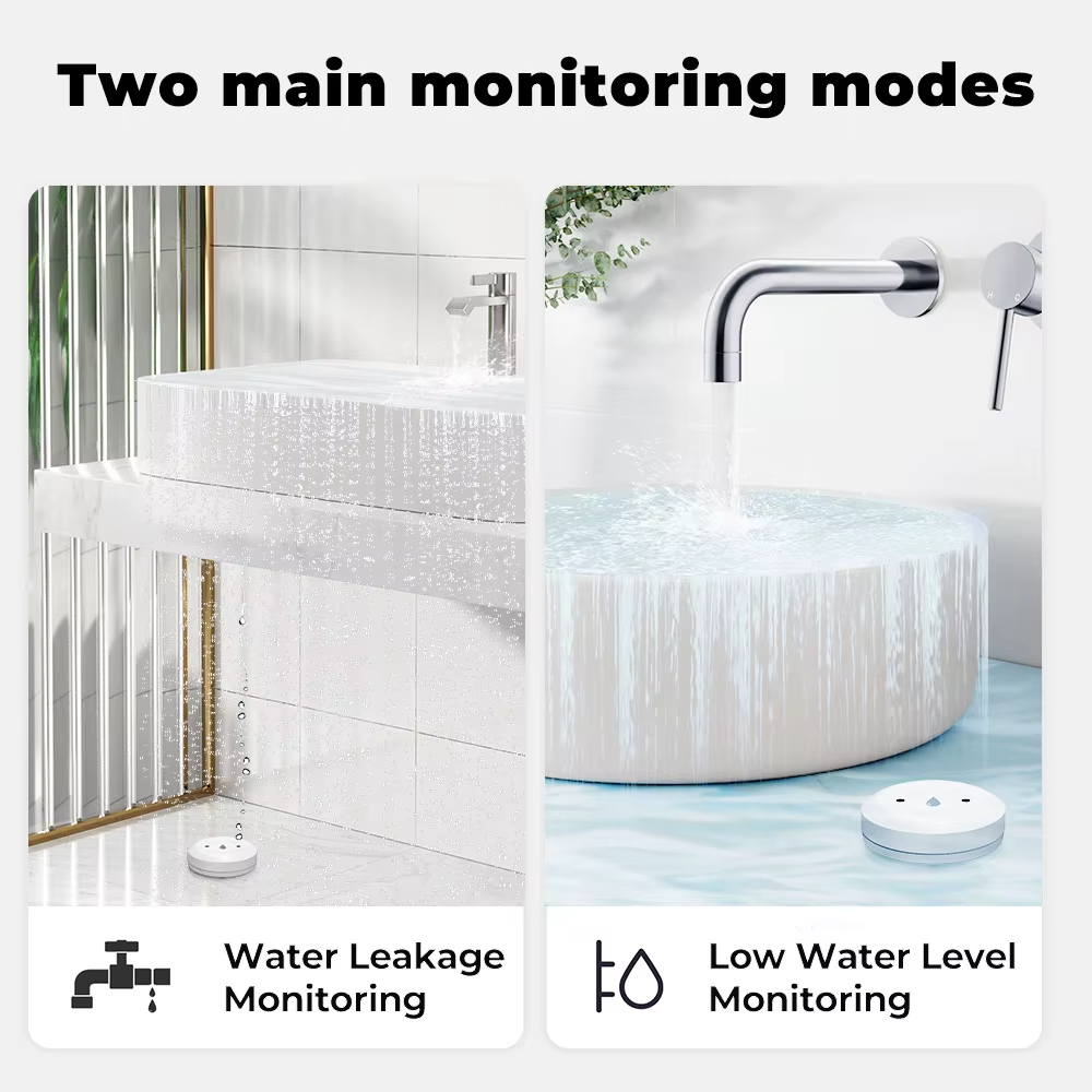 Sensore Intelligente Zigbee pe - Smart Home Green recensione e prezzo