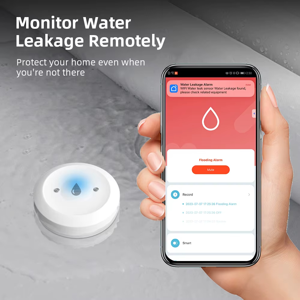 Sensore Intelligente Zigbee pe - Smart Home Green recensione e prezzo