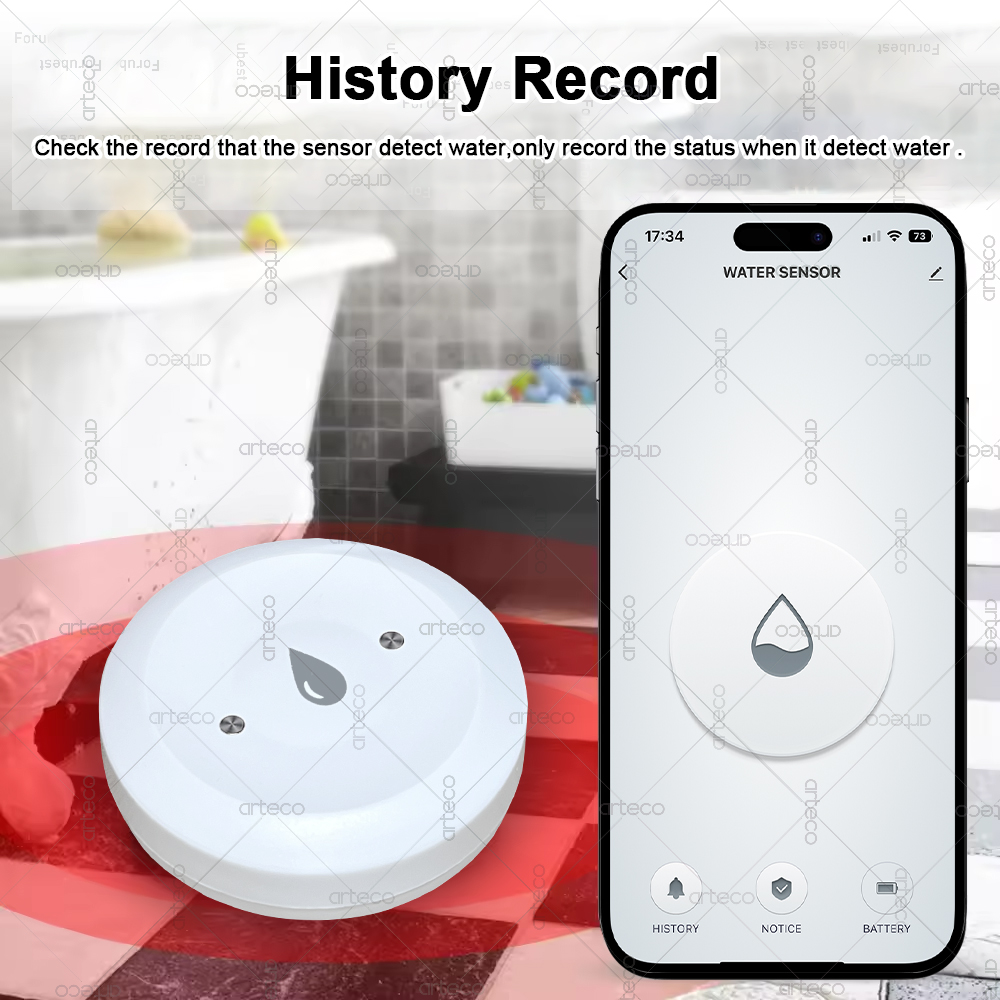 Tuya Smart Zigbee Sensore Acqu - Smart Home Zentrale recensione e prezzo