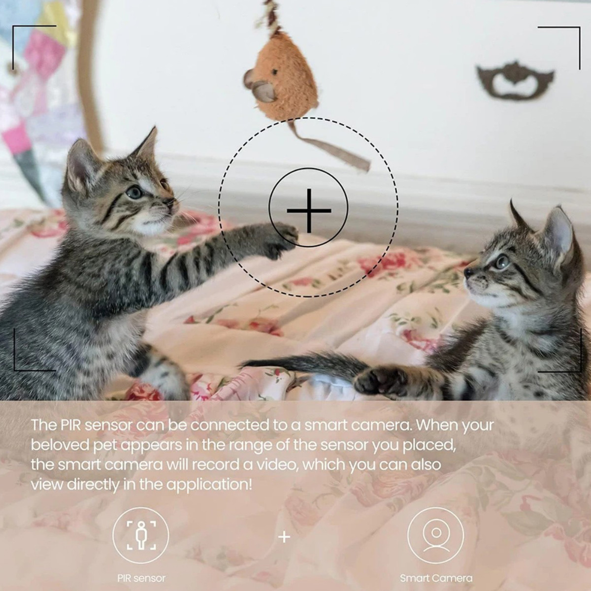 Sensore di Movimento PIR ZigBe - Smart Home Zentrale recensione e prezzo