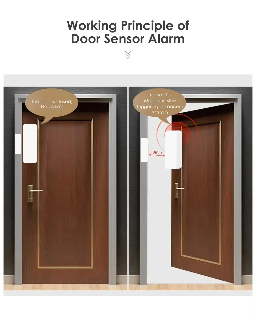 Tuya Zigbee/WiFi Sensore magne - Door Window Sensor recensione e prezzo