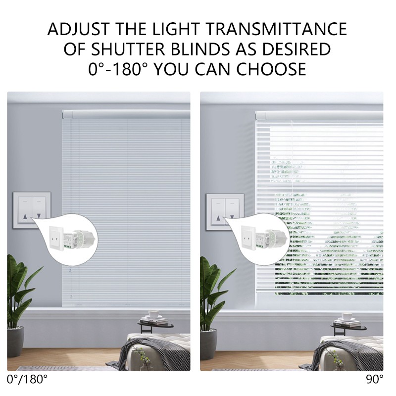 Modulo Interruttore WiFi Tuya  - Curtain Motor recensione e prezzo